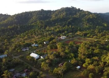 JATAM Sulteng Temukan 81,11 Persen Konsesi Nikel di Banggai Masuk Kawasan Hutan