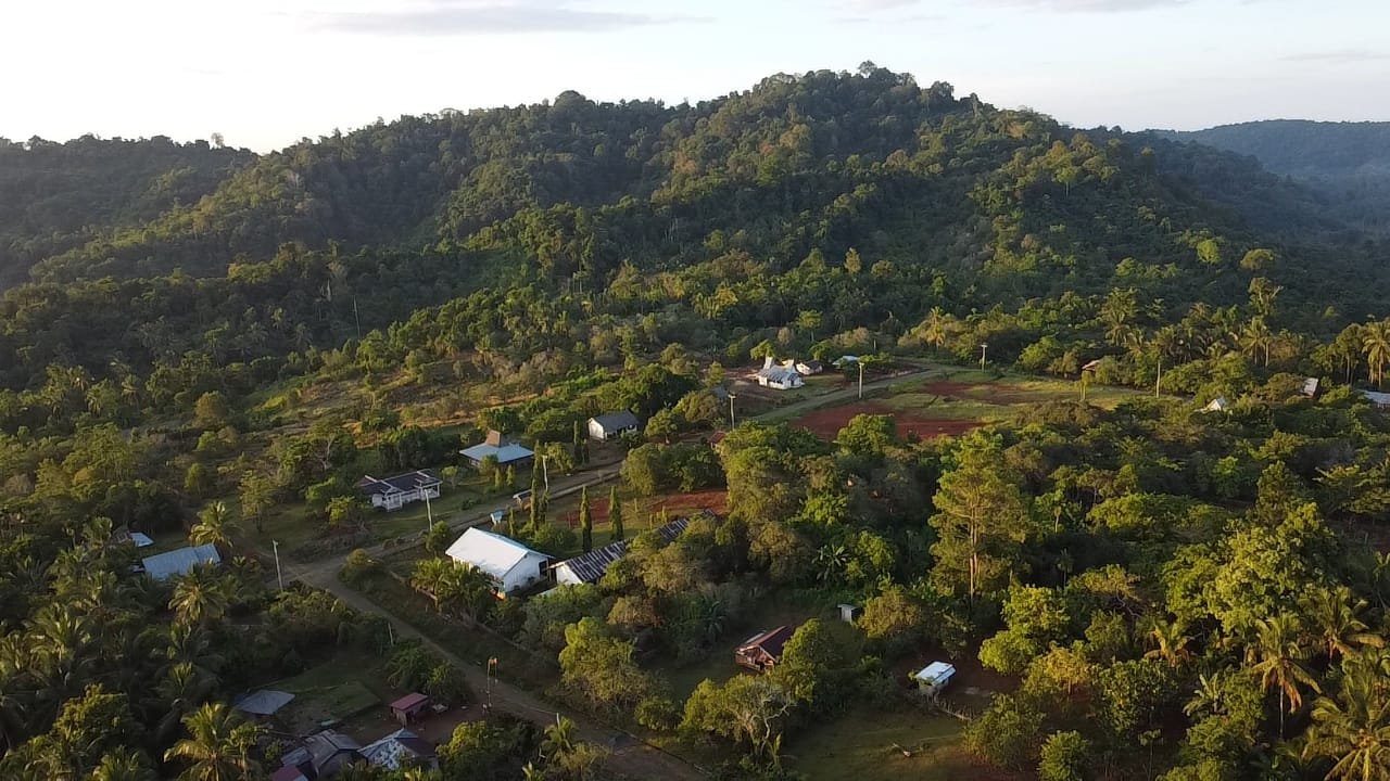 JATAM Sulteng Temukan 81,11 Persen Konsesi Nikel di Banggai Masuk Kawasan Hutan