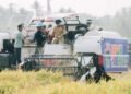 Pemda Banggai Siapkan Brigade Pertanian untuk Kelola Alsintan