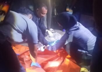 Polisi Selidiki Pembuangan Bayi di TPA Kawatuna, Jasad Diperiksa di RS Bhayangkara