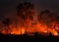 Karhutla Bolano Parimo, Dua Hektare Lahan Kosong Terbakar