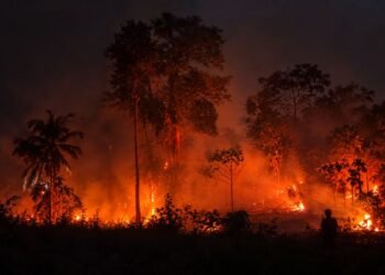 Karhutla Bolano Parimo, Dua Hektare Lahan Kosong Terbakar