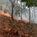Kebakaran Lahan di Sausu Hanguskan Sekitar 3,5 Hektare, Satu Titik Masih Berasap