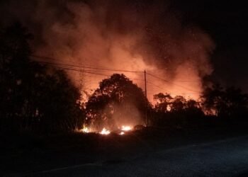 Api Membakar Lahan di Bolano Barat, BPBD Parimo Kerahkan Tim Gabungan