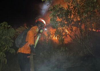 Hari Kedua, Tim SAR Gabungan Padamkan Karhutla di Sibualong Donggala