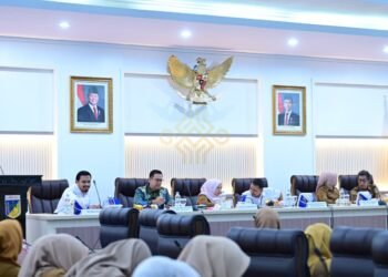 217 Ribu Warga Sulteng Nikmati Berani Sehat, Wagub Reny Perkuat Sinergi dengan BPJS Kesehatan