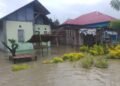Banjir Rendam Tiga Desa di Kasimbar, BPBD Parimo Soroti Gorong-gorong Trans Sulawesi