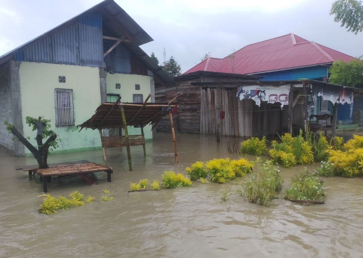 Banjir Rendam Tiga Desa di Kasimbar, BPBD Parimo Soroti Gorong-gorong Trans Sulawesi