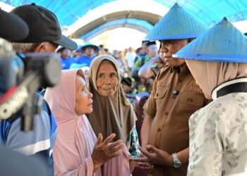 Anwar Hafid Dorong Modernisasi Pertanian untuk Tarik Generasi Muda
