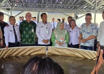 BERANI Tangkap Banyak, 16.800 Benih Nila Disalurkan untuk Pembudidaya Sigi