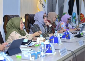Wagub Reny Minta Pusat Bantu Renovasi 220 Puskesmas di Sulteng
