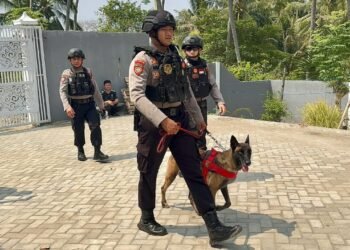 Kembali Gerebek Kayumalue, Polisi Tak Temukan Barang Bukti di Lokasi