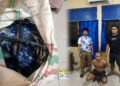 Polisi Tangkap DPO Pencurian Kabel Tower XL dan Telkomsel di Parimo