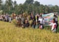 Bupati Parimo Panen Perdana Program Cetak Sawah di Toriapes Kasimbar