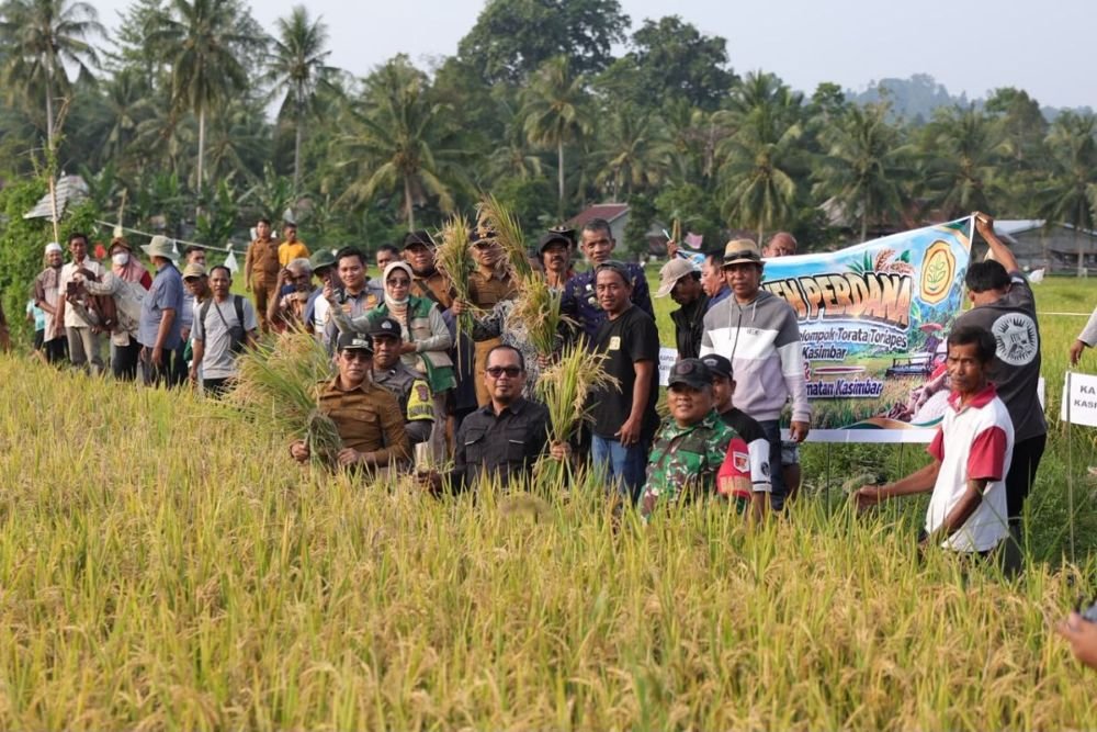 Bupati Parimo Panen Perdana Program Cetak Sawah di Toriapes Kasimbar