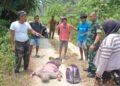 Warga Kintom Ditemukan Meninggal di Jalan Perkebunan, Polisi Minta Keterangan Keluarga