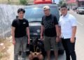 Ditangkap Usai Curi Mobil, Pemuda di Palu Diduga Terlibat 26 Kasus Curanmor