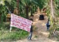 Dugaan PETI di Labonu, Sungai Keruh dan Lima Desa Terancam