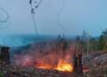 42,5 Hektare Lahan Terbakar, BPBD Parimo Kerahkan Tim Gabungan