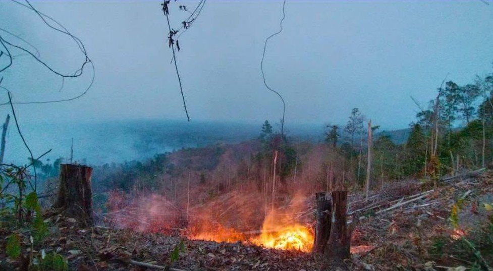 42,5 Hektare Lahan Terbakar, BPBD Parimo Kerahkan Tim Gabungan